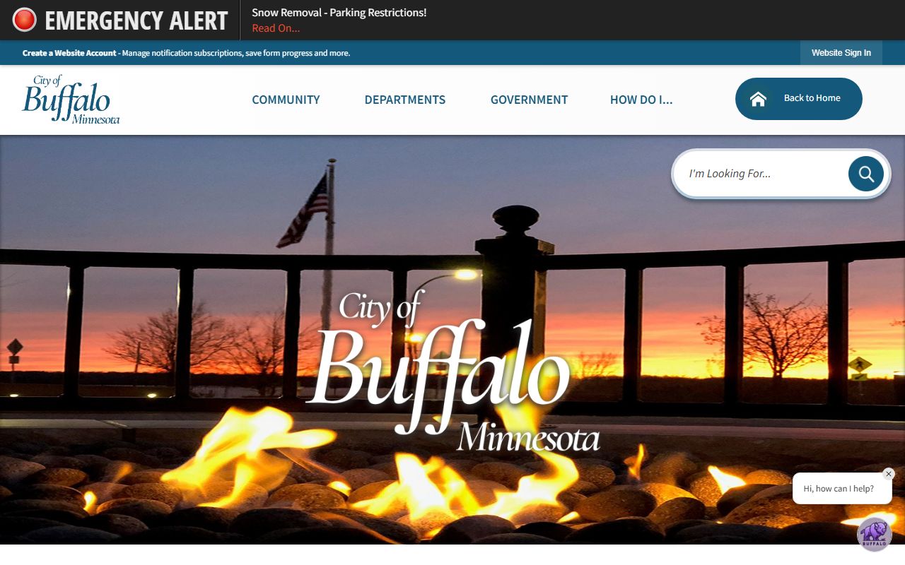 Wright County government website for recent bookings and jail records in Buffalo MN